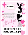 5月ガチバニーDAY！