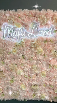 ギャラリー画像[6]