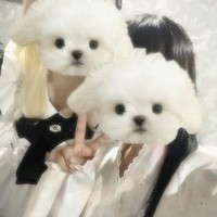 本日もご帰宅ありがとうございました！の画像1
