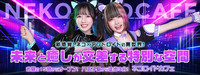 ネコロイドカフェ
