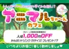 2/27(金),2/28(土)アニマルちゃ～んカフェ🐴🐶
