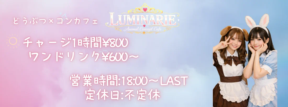 アニマル×夢の国　Luminarie-ルミナリエ-