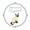 子猫maidcafeRagdoll