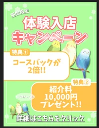 応募するなら絶対今！【期間限定】体験入店キャンペーン実施中☆