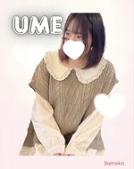 池猫 ~池袋の猫たち~:うめ