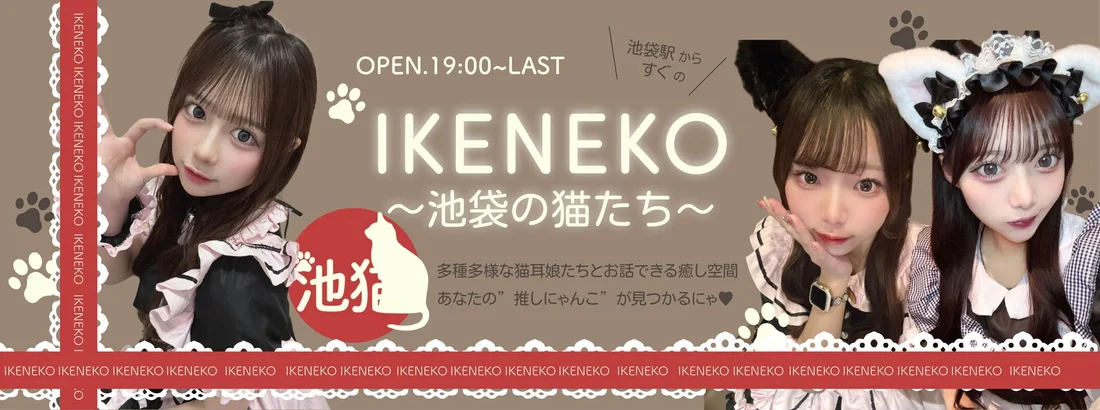 池猫 ~池袋の猫たち~