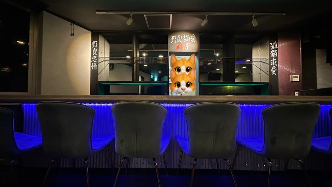 ノラ猫でも愛してくれますか？名古屋店