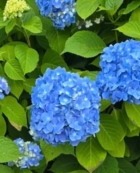 ごきげん帰宅🏠💕