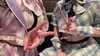 ヴォラビス魔法学校