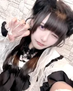 Dolly Cats:くろまめ
