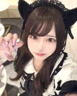 Dolly Cats:のい