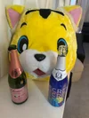 ダーツ＆カラオケバー　シークレット