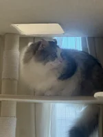 cafe＆barもふもふ:れおな