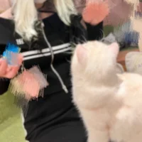 ひよりちゃん