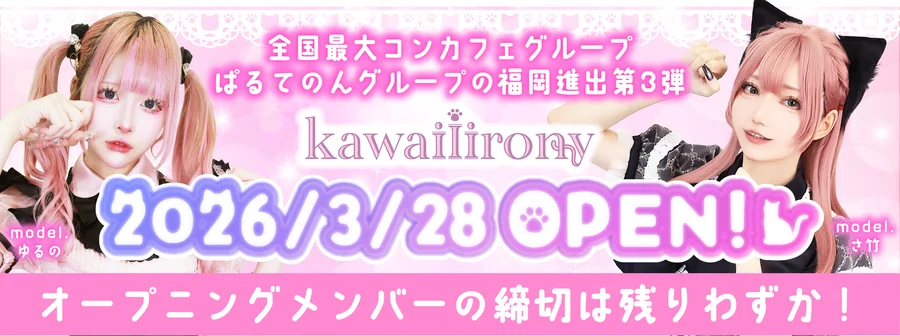 kawaiiirony(カワイイアイロニー)