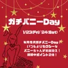 1月ガチバニーDay！