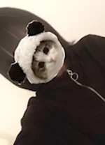 おりがみ:あかり