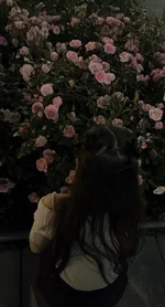 ねね