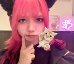 ののねこ