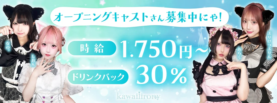 kawaiiirony(カワイイアイロニー)札幌すすきの店