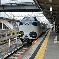 パンダくろしお