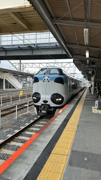 パンダくろしお